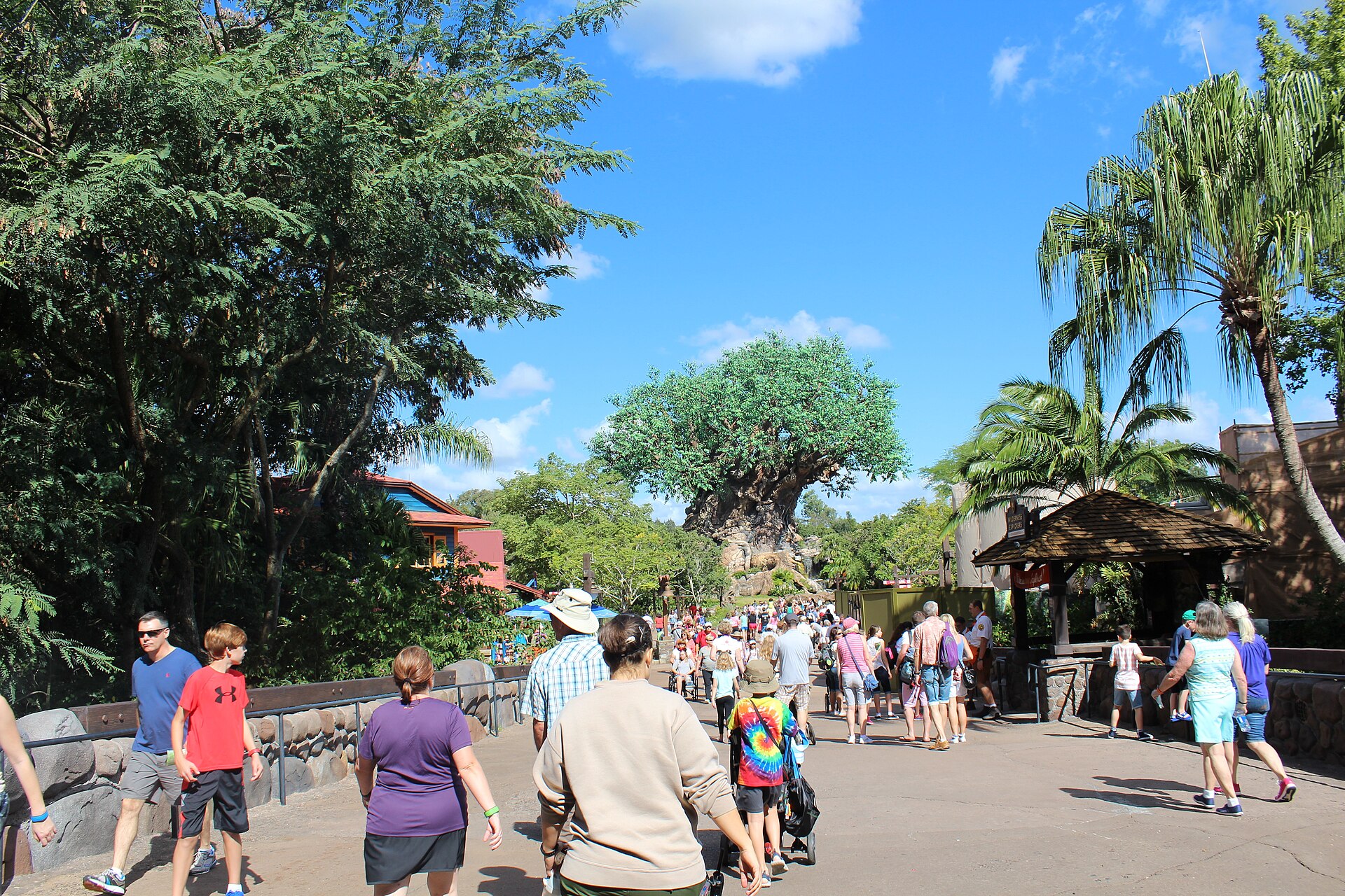 Animal Kingdom