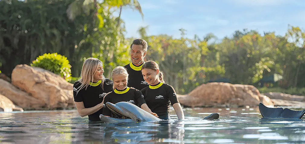 Discovery Cove Package vs Ultimate: What Is the Difference?