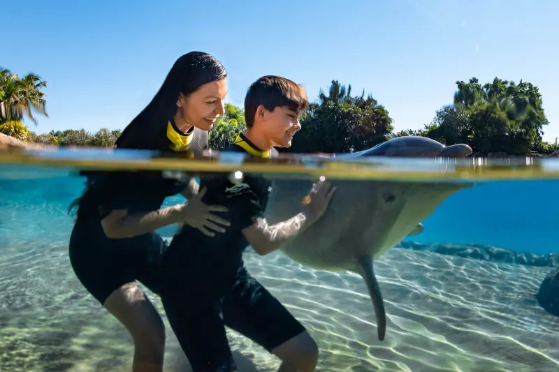 Is Discovery Cove Worth the Price?